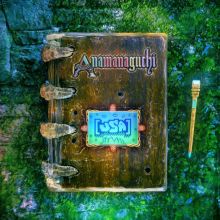 Album cover for [USA] by Anamanaguchi