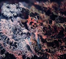 Album cover for Sylva by Benoît Pioulard