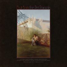 Album cover for The Pet Parade by Fruit Bats