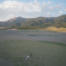 Album cover for Crestone [Original Score] by Animal Collective / Deakin / Geologist