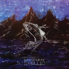 Album cover for Skellig by David Gray