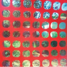 Album cover for Endless Garbage by Ted Byrnes / Brad Caulkins / Greg Coates / Tomas Dolas / John Dwyer