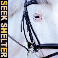 Album cover for Seek Shelter by Iceage