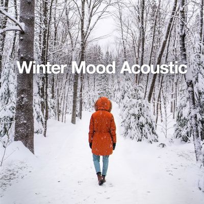 Winter Mood Acoustic
