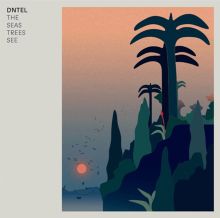 Album cover for The Seas Trees See by Dntel