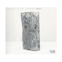 Dave Douglas, Dave Douglas St... Tracks & Reviews | AllMusic