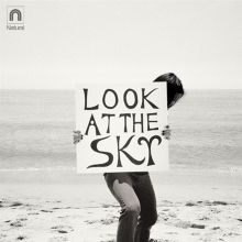 Album cover for Look at the Sky by Winds