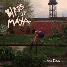 Album cover for Valdez by Birds of Maya
