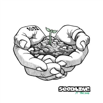 Seedling