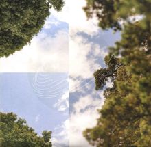 Album cover for Maples, Ash, and Oaks: Cedars Instrumentals by Field Works