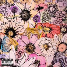 Album cover for Jordi by Maroon 5