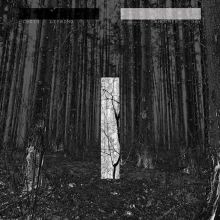 Album cover for Another Day by Chris Liebing
