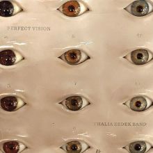Album cover for Perfect Vision by Thalia Zedek / Thalia Zedek Band