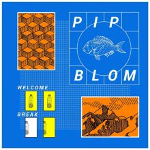 Album cover for Welcome Break by Pip Blom