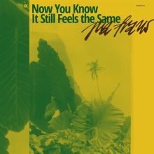 Album cover for Now You Know It Still Feels the Same by Pia Fraus