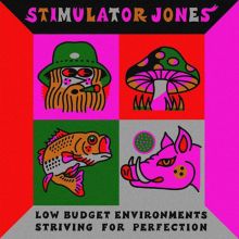 Album cover for Low Budget Environments Striving for Perfection by Stimulator Jones