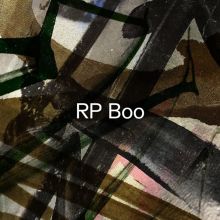 Album cover for Established! by RP Boo