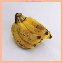 Album cover for The Sound of Yourself by Mac McCaughan