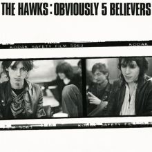 Album cover for Obviously 5 Believers by The Hawks