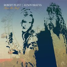 Album cover for Raise the Roof by Alison Krauss / Robert Plant