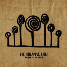 Album cover for Nothing But the Truth by The Pineapple Thief