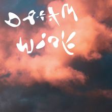 Album cover for Dream Work by Dinner