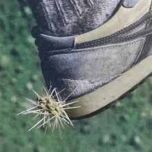 Album cover for Tread by Ross from Friends