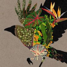 Album cover for @0 by Coldcut