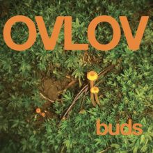 Album cover for Buds by Ovlov