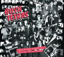 Album cover for Rhythm & Paranoia: The Best of Bush Tetras by Bush Tetras