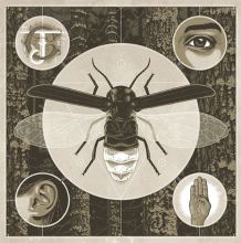Album cover for Brighten by Jerry Cantrell