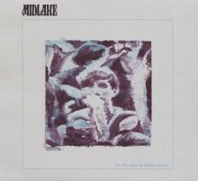 Album cover for For the Sake of Bethel Woods by Midlake