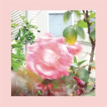 Album cover for Summer at Land's End by The Reds, Pinks & Purples