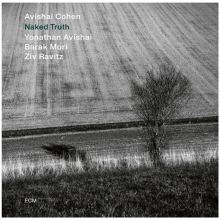 Album cover for Naked Truth by Avishai Cohen