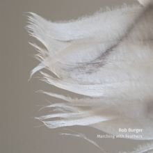Album cover for Marching With Feathers by Rob Burger