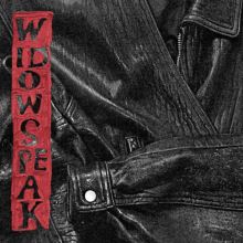 Album cover for The Jacket by Widowspeak