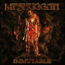 Album cover for Immutable by Meshuggah