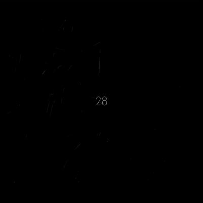 28