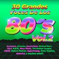 30 Grandes Voces de los 80's, Vol. 2