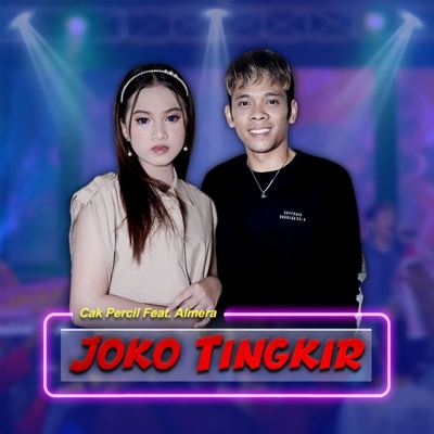 Joko Tingkir