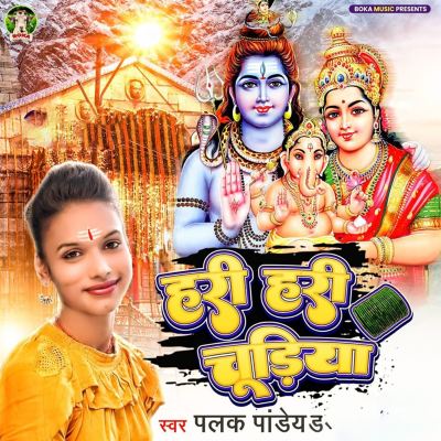 Hari Hari Chudiya