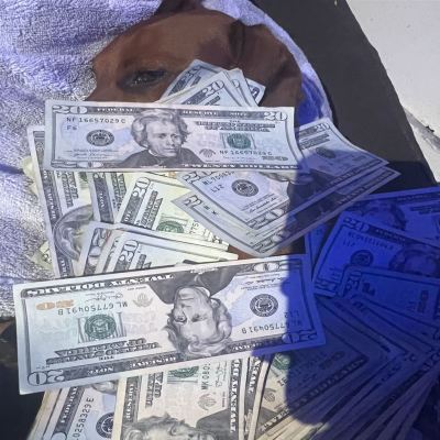 Can't Tell Me Nun