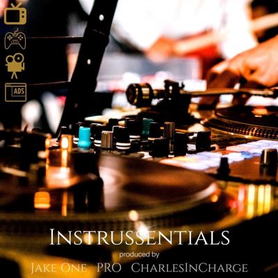 Instrussentials