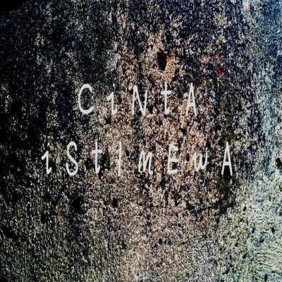 Cinta Istimewa