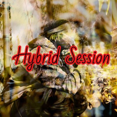 Hybrid Session