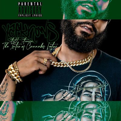 Still Steezin: The Intro to Cannabis Lectur