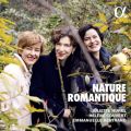 Nature romantique