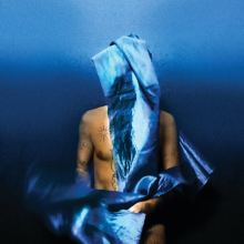 Album cover for Flying Wig by Devendra Banhart