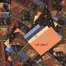 Album cover for Isn't It Now? by Animal Collective
