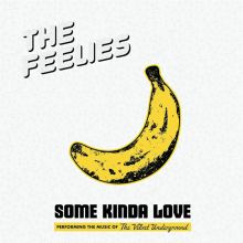 Album cover for Some Kinda Love: Performing the Music of the Velvet Underground by The Feelies
